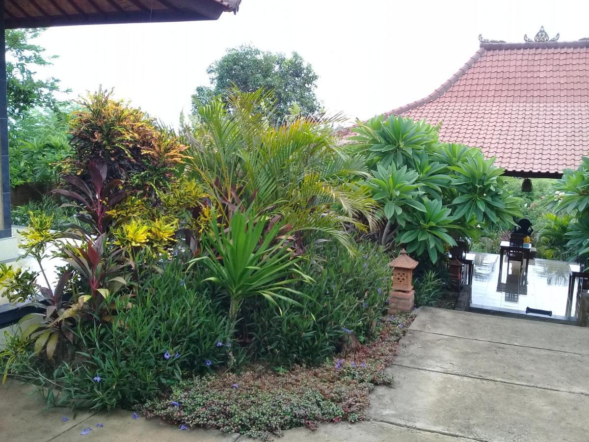 Eliska Sari Bungalows Sumberkima Pemuteran Exterior foto
